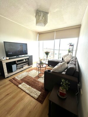 TV - Spacious, Comfortable and Beautiful Loft with Ocean View.  (San Miguel)