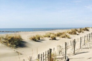 Playa en los alrededores 