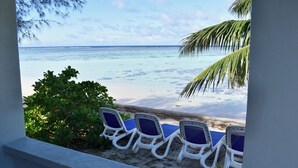 Une vue sur la plage avec des chaises longues et un palmier.