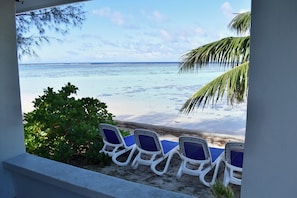 A beach view with lounge chairs and a palm tree.