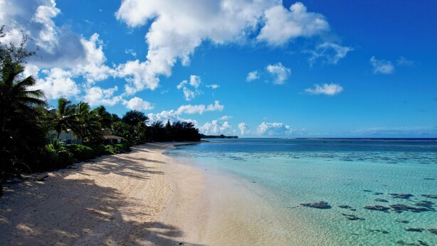 Une plage bordée d’une eau turquoise et limpide, de palmiers et d’une côte qui s’étend à perte de vue.
