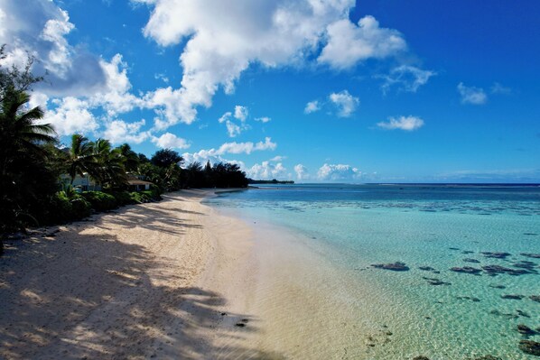 A beach with clear turquoise water, palm trees, and a distant shoreline.