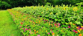 Green Cottage Farm Stay & Food