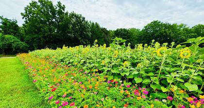 Green Cottage Farm Stay