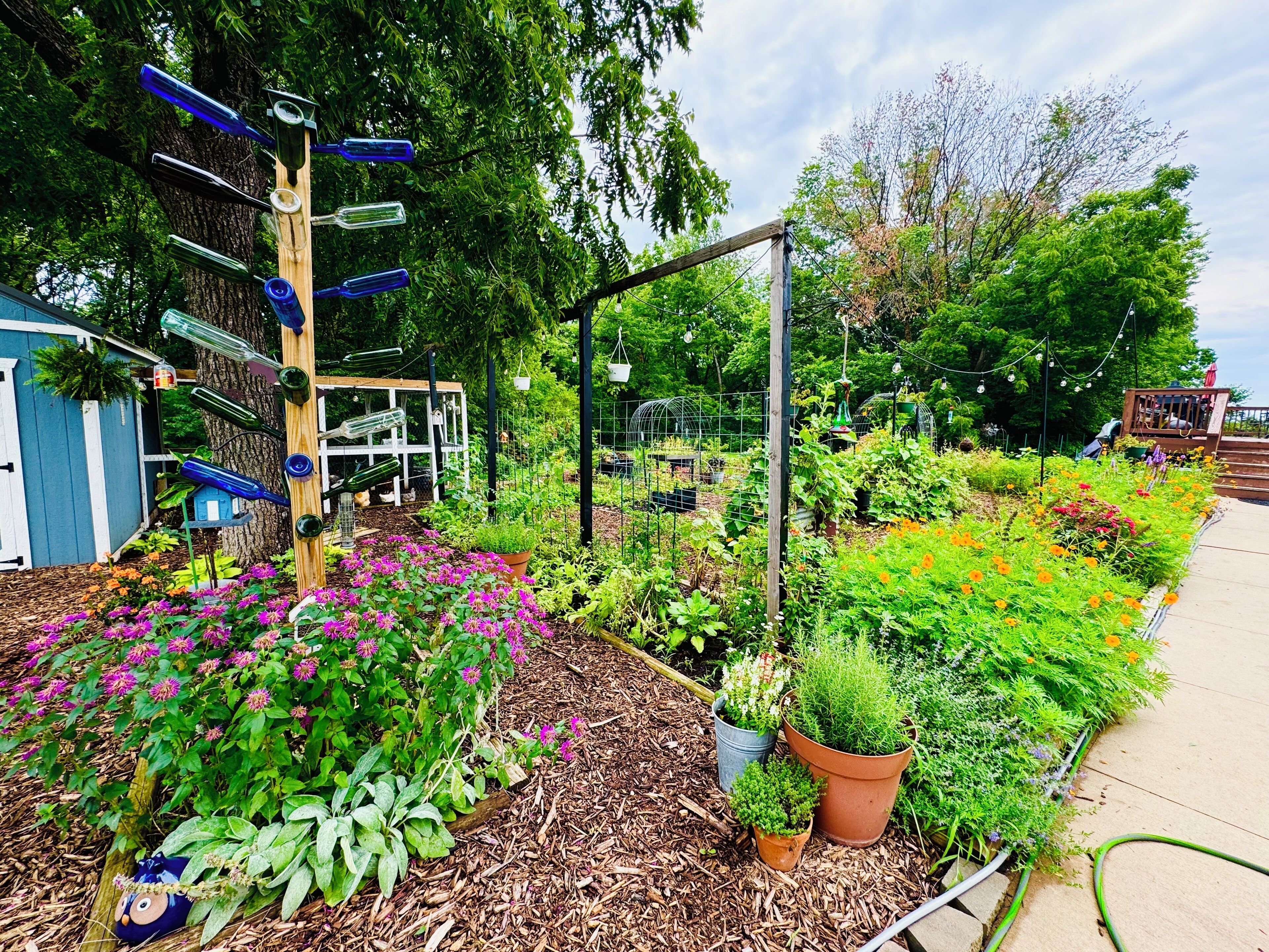 Enceinte de l’hébergement