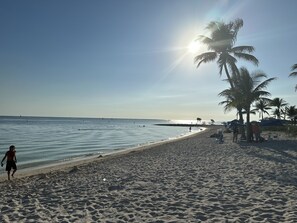 A beach with a clear sky, palm trees, and a calm sea.