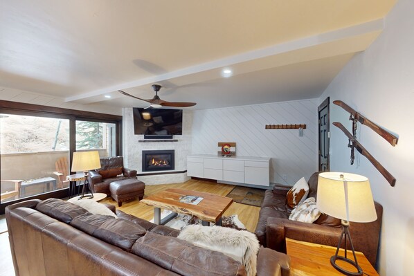 TV, fireplace, books, stereo