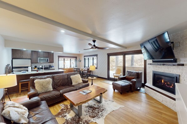 TV, fireplace, books, stereo