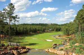 Golf - All the Comforts of Home and a View of Lake DeSoto (Hot Springs Village)