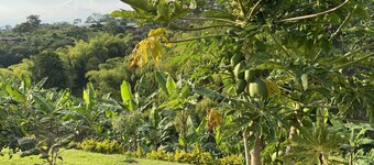 Entire Finca in Pereira - Great View