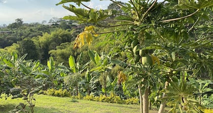 Entire Finca in Pereira - Great View