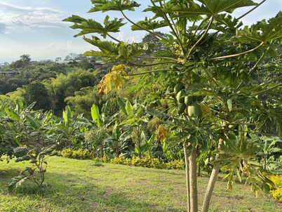 Entire Finca in Pereira - Great View