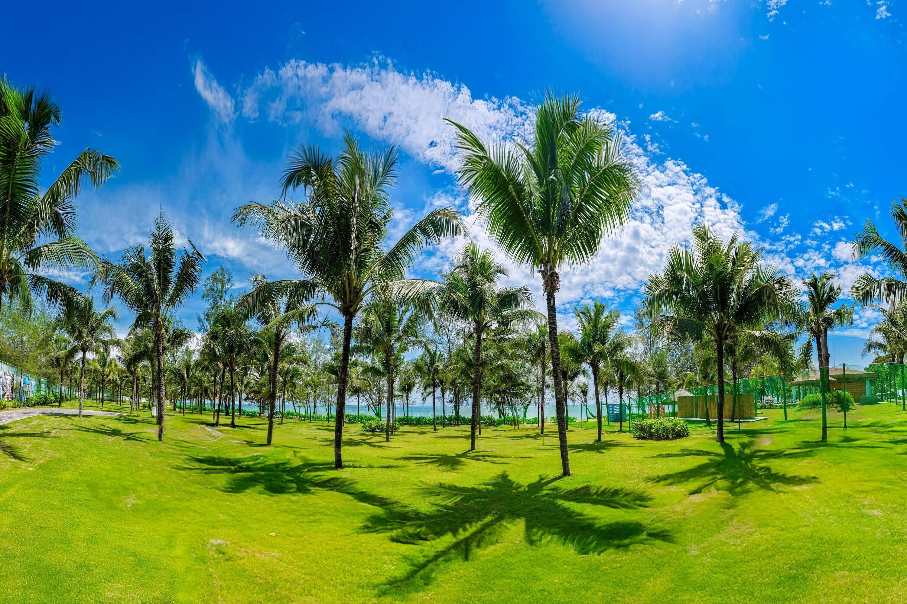 Tiện nghi, dịch vụ nơi lưu trú