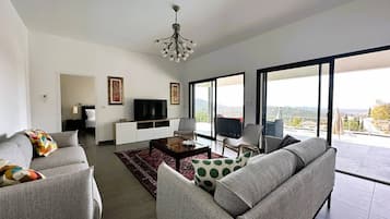 Fernseher, Arbeitsbereiche