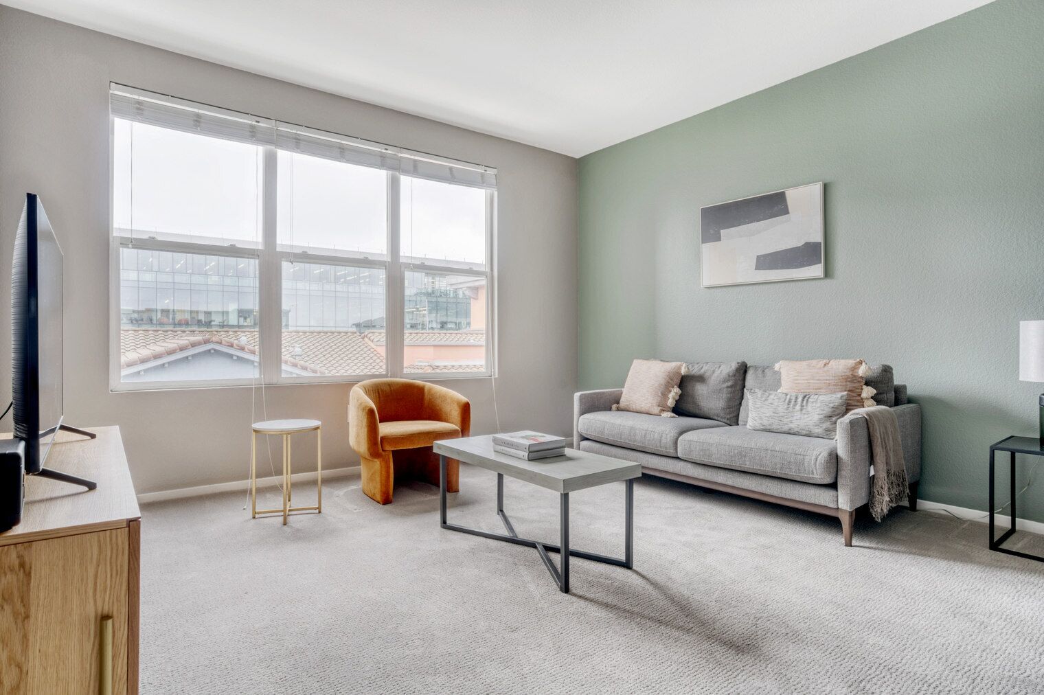 电视、立体声音响