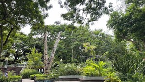Un jardin luxuriant, avec une grande variété d’arbres et de plantes, un chemin pavé et un petit élément décoratif aquatique.
