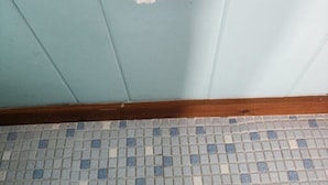 Un baño con pared azul claro, inodoro blanco y suelo de baldosas.
