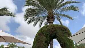 A landscaped outdoor area with a palm tree, a decorative archway, and white plastic chairs. - Comfortable spacious family house with large terrace and garden Beach & Bars (Torrevieja)