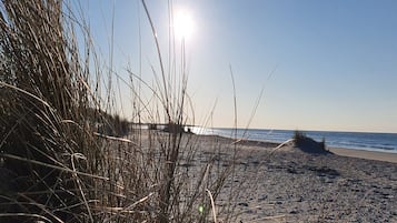 Playa en los alrededores