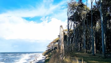 Plage à proximité, chaises longues