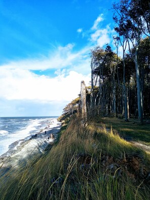 Beach nearby, sun-loungers