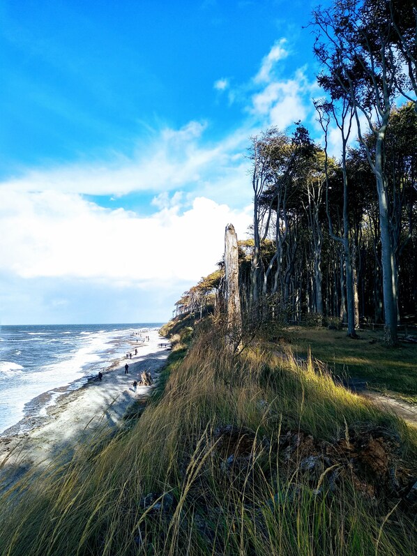 Beach nearby, sun loungers