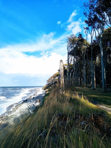 Vacation apartment near the beach in Nienhagen on the Baltic Sea