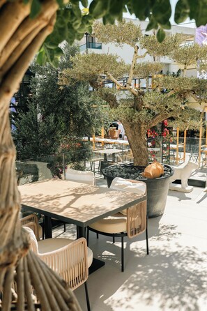 An outdoor seating area with tables and chairs, surrounded by potted plants and a large tree. - Hotel Colosseum (Ksamil)