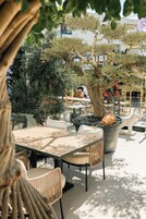 Un espacio al aire libre con mesas y sillas, rodeado de plantas en macetas y un árbol grande.