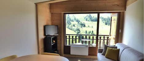 Fernseher