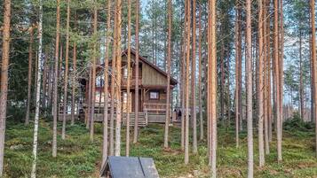 Puinen mökki, jonka ympärillä kohoaa korkeita puita metsässä.