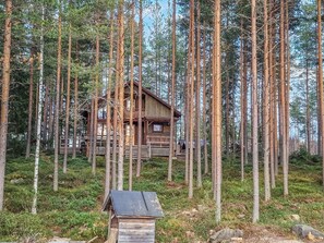 A wooden cabin surrounded by tall trees in a forest.