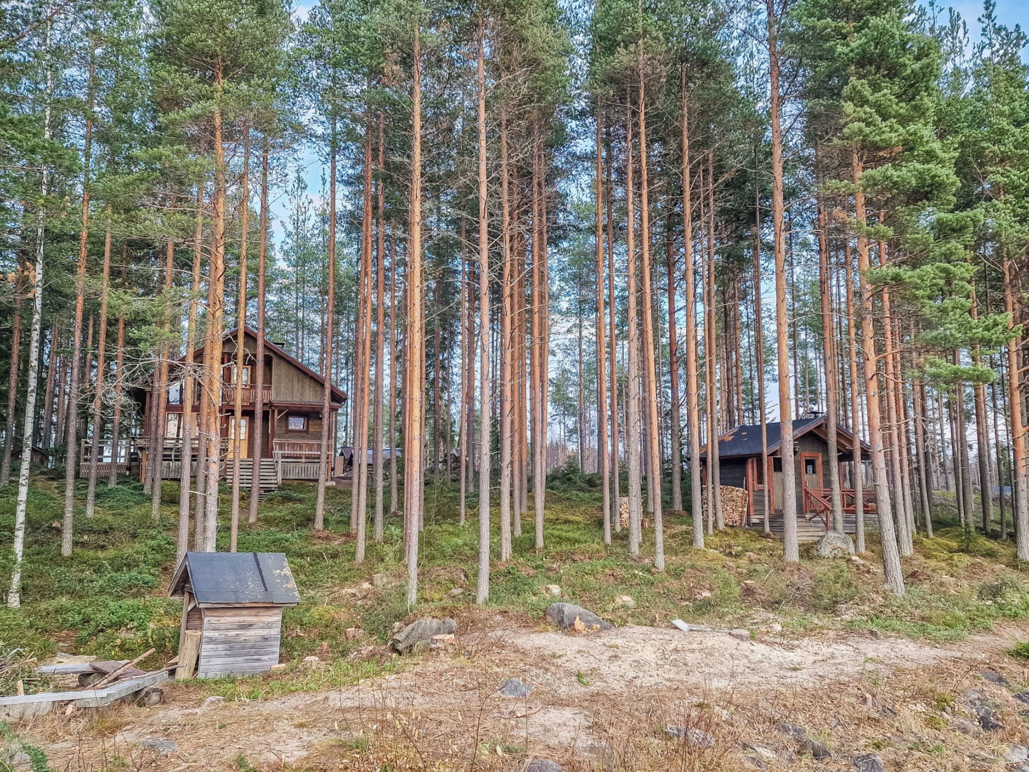 Metsä, jossa on kaksi puurakenteista mökkiä: toinen on rakennettu pylväiden varaan ja toinen suoraan maahan, ja molempia ympäröivät korkeat mäntypuut.