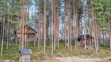 Metsä, jossa on kaksi puurakenteista mökkiä: toinen on rakennettu pylväiden varaan ja toinen suoraan maahan, ja molempia ympäröivät korkeat mäntypuut.