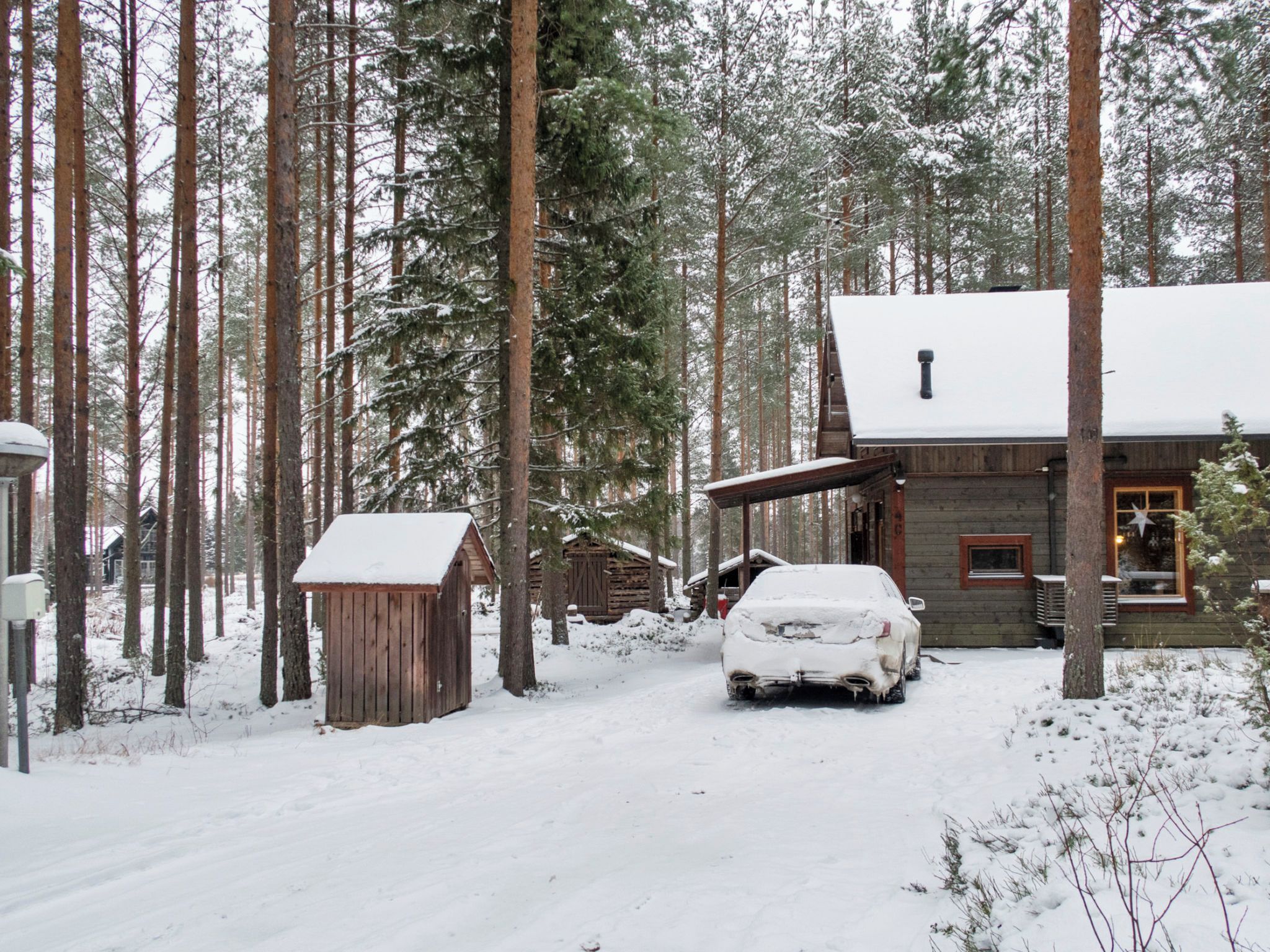Een chalet met een sneeuwbedekte dak, omgeven door hoge dennenbomen.