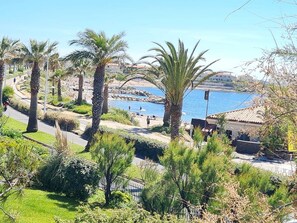 Stroll along the scenic promenade with a clear view of the sea, lined with palm trees and beautifully maintained greenery.