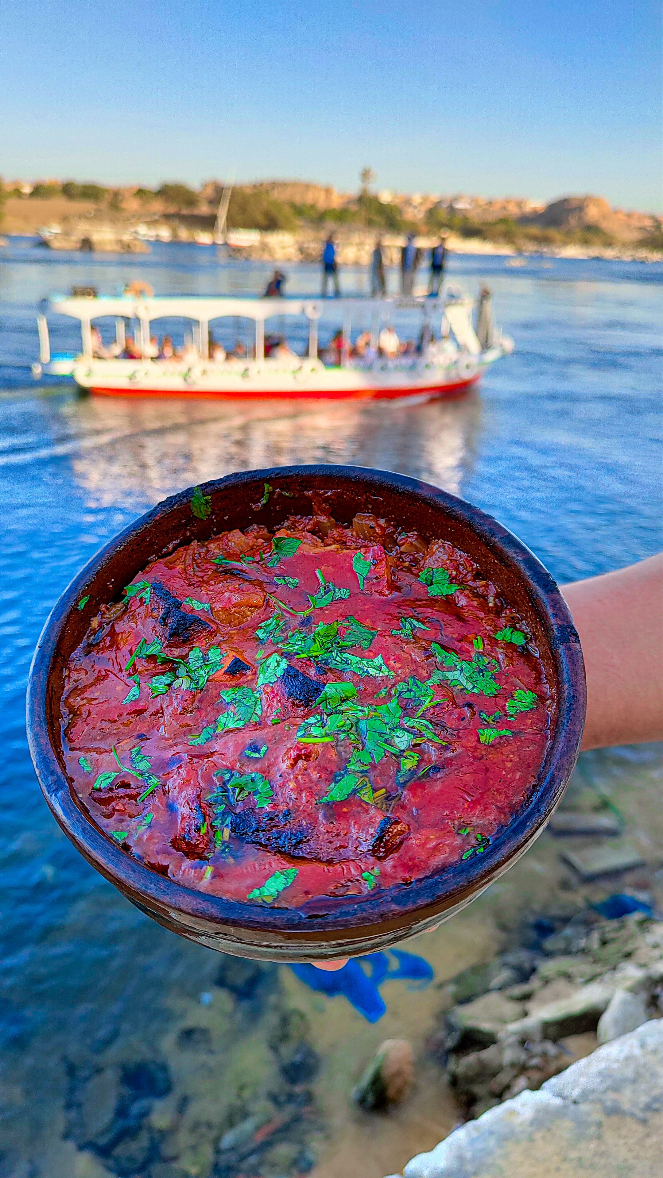 A bowl of food with a red sauce and green herbs, held in front of a body of water with boats in the background.