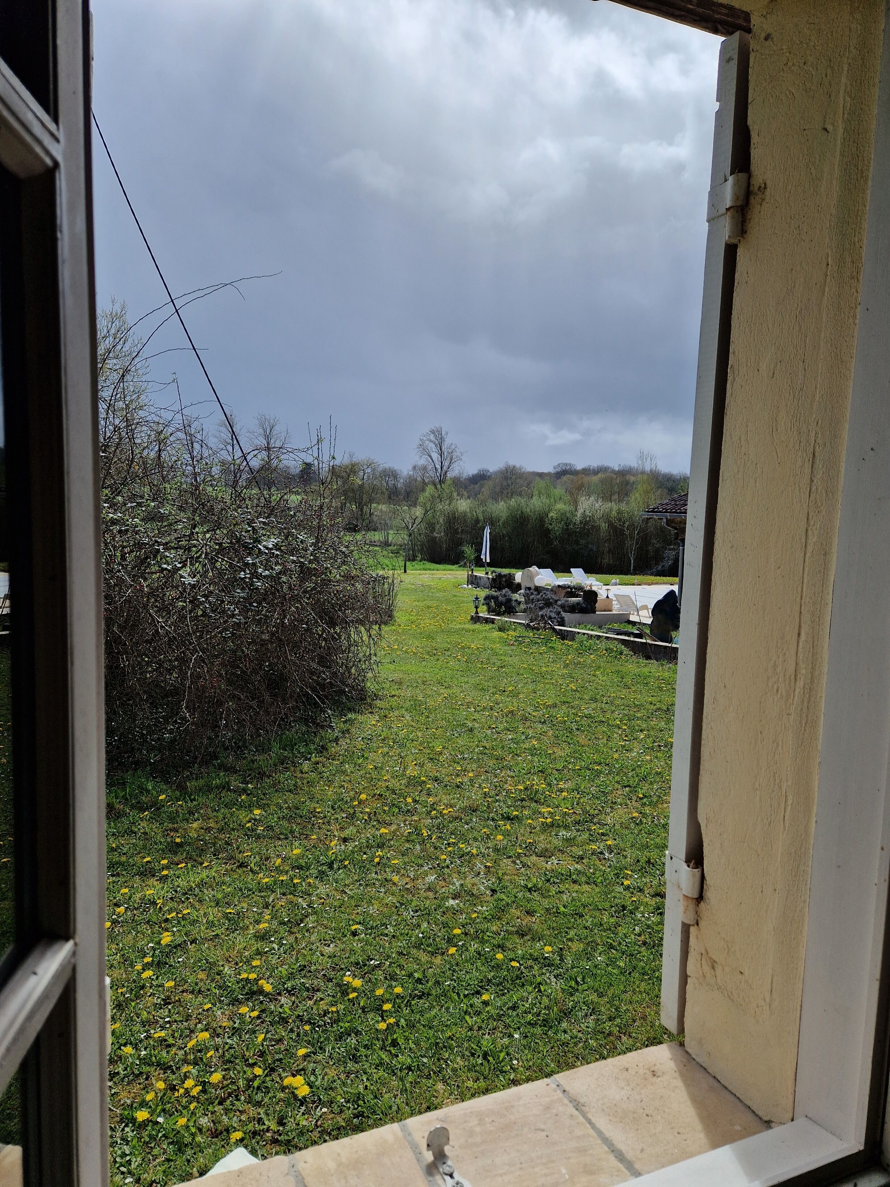 On aperçoit, à travers une fenêtre, un espace verdoyant avec un sentier, quelques buissons et quelques arbres.