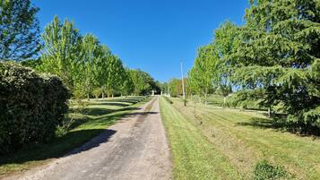 Camino rural bordeado por árboles y hierba.