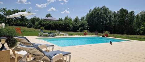 A swimming pool with lounge chairs and umbrellas, surrounded by greenery.
