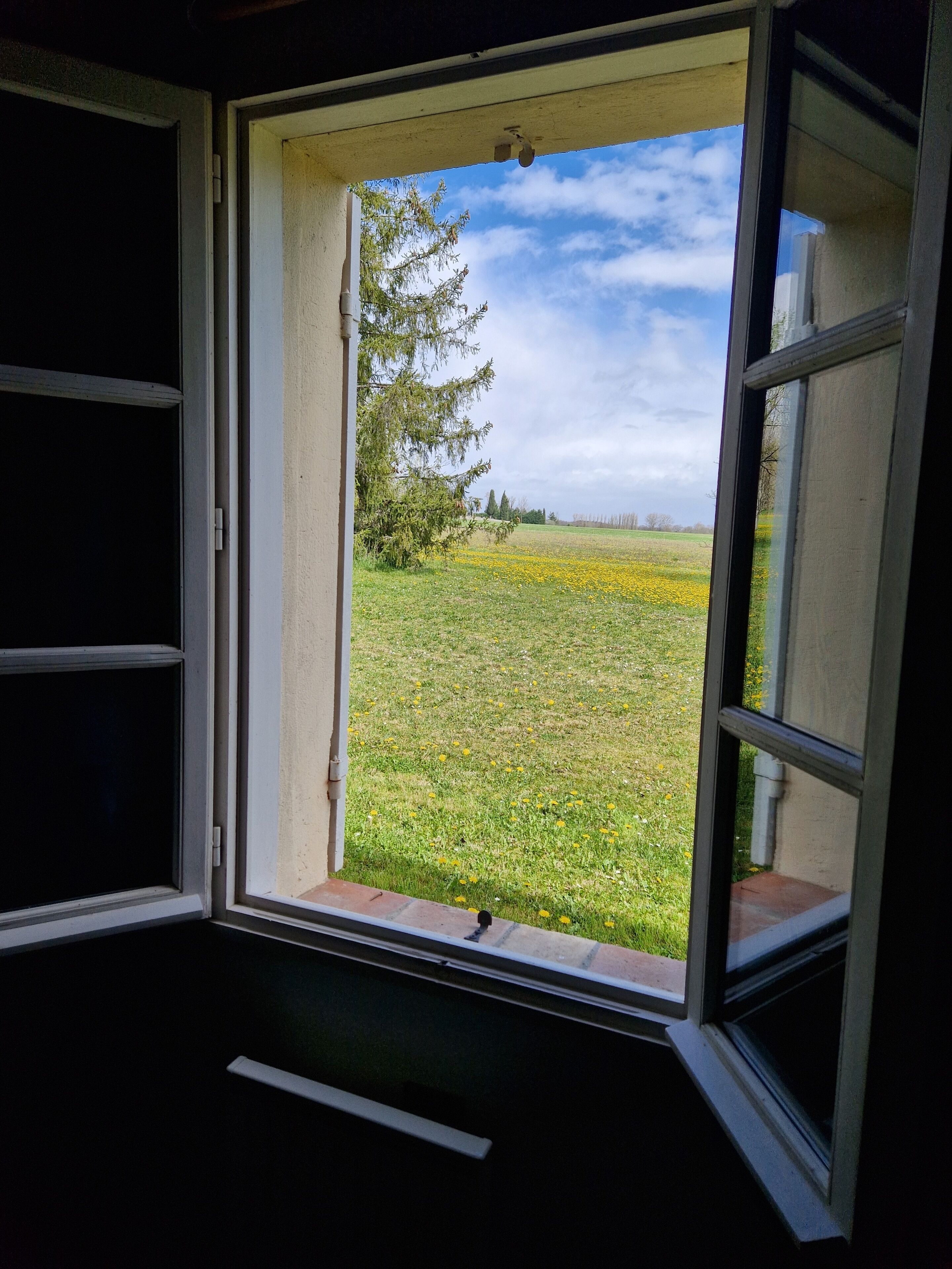 Ein offenes Fenster mit Blick auf ein grasbewachsenes Feld und einen Baum.