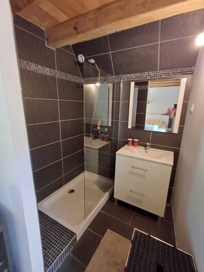 Shower, toilet paper - La Bergerie, oasis of calm for visiting the LOT and the Dordogne (Montgesty)