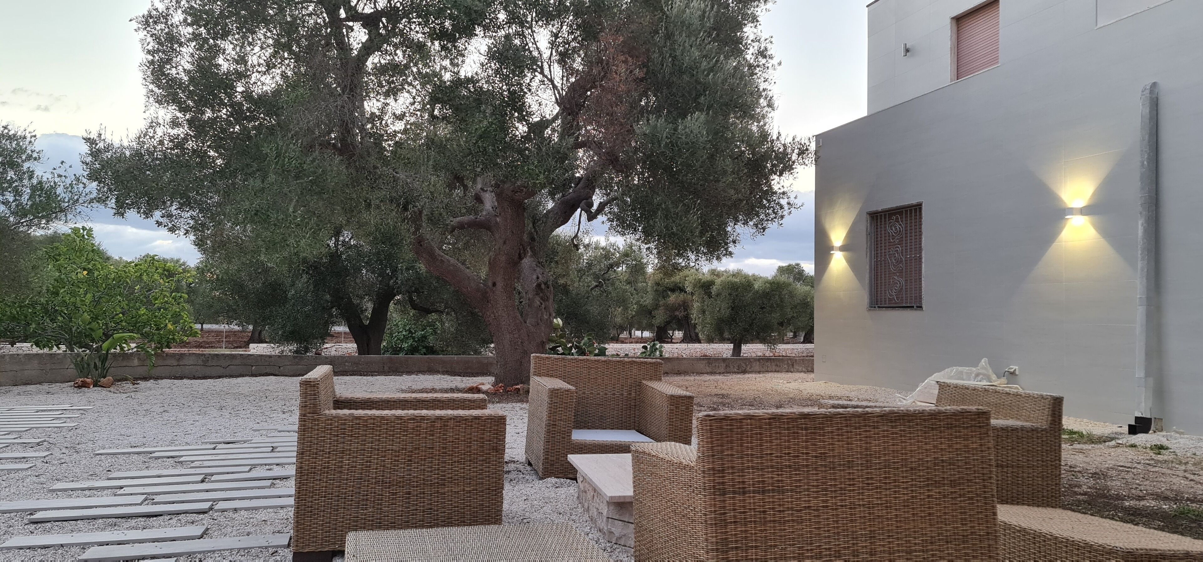 Terrasse/patio