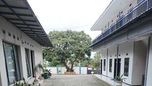 Un patio con un sendero empedrado, un árbol grande y un edificio con varias ventanas y puertas.