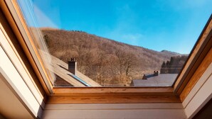 A skylight with a view of a forested hillside.