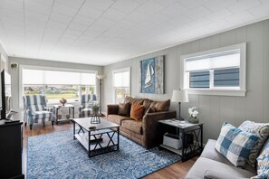 Smart TV, fireplace, books