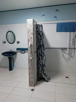 Shower, hair dryer, towels, soap - Apartment 2 steps from shops and marked footpaths (Fraize)