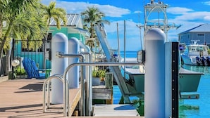 Uma marina com barcos atracados, um deck de madeira e palmeiras.