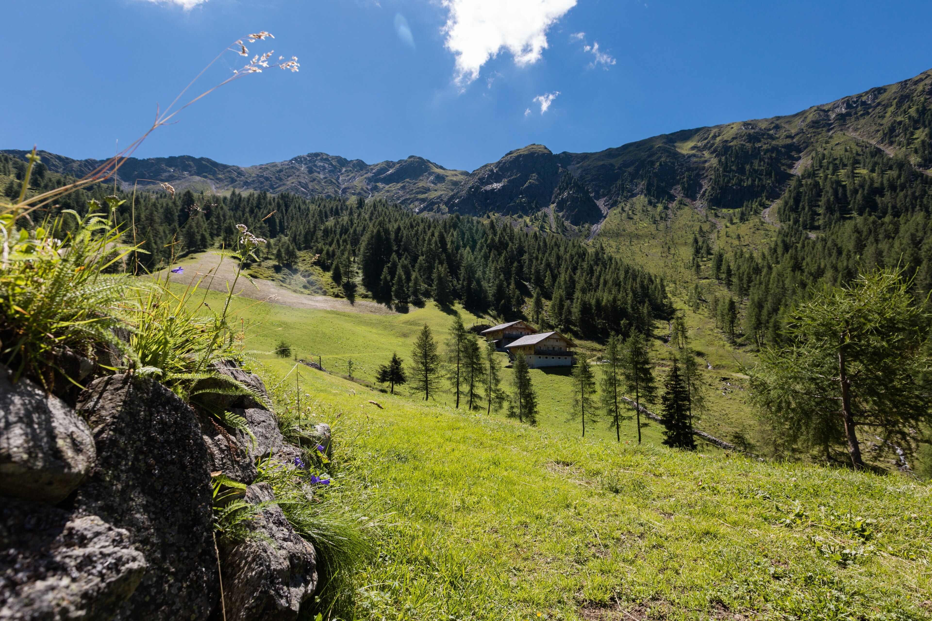 A mountainous landscape with a house surrounded by trees and grass.