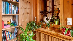 Un interno in legno con una libreria, una finestra con tende in pizzo e piante in vaso.